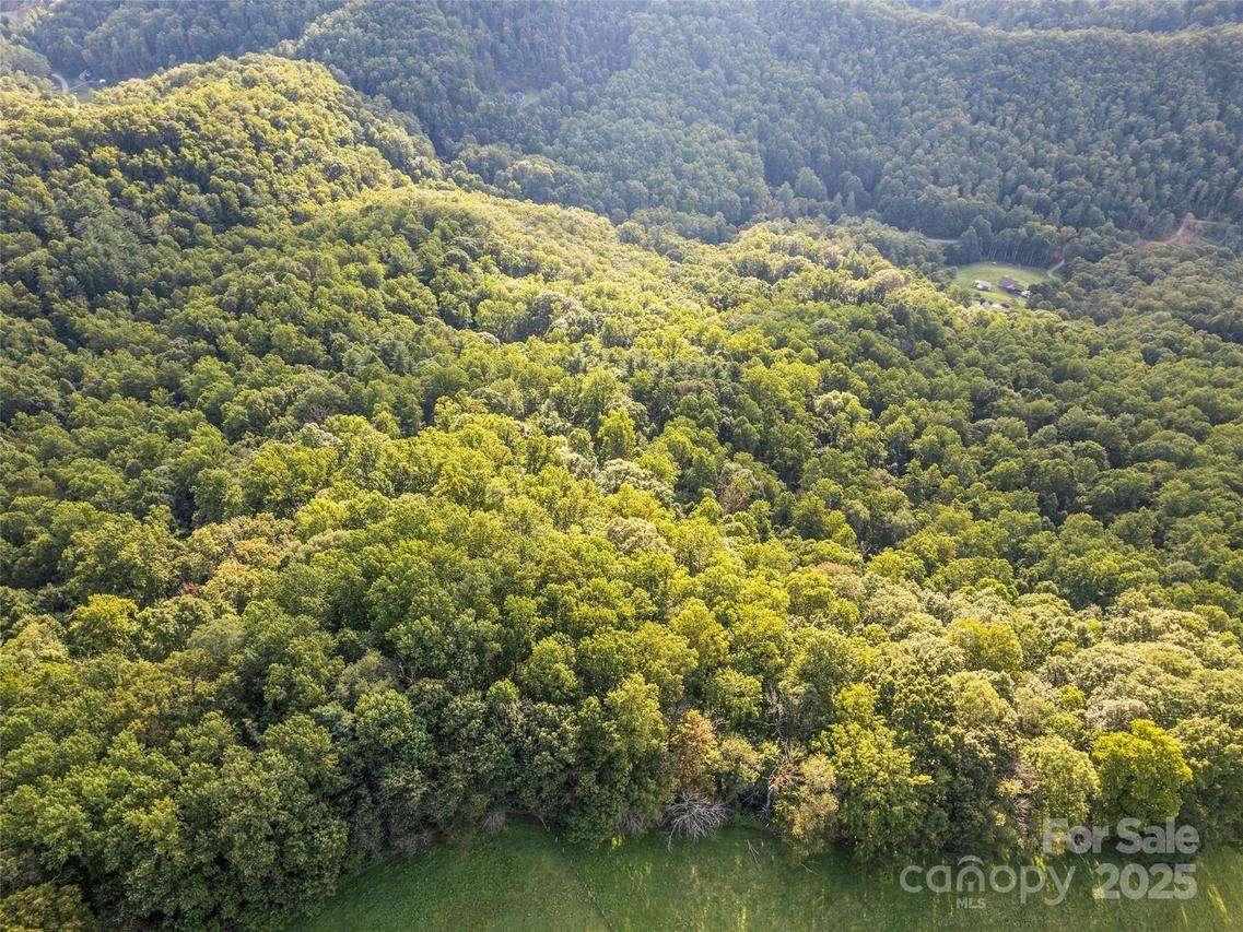 000 Crackin Chestnut Ln., Sylva, NC 28779