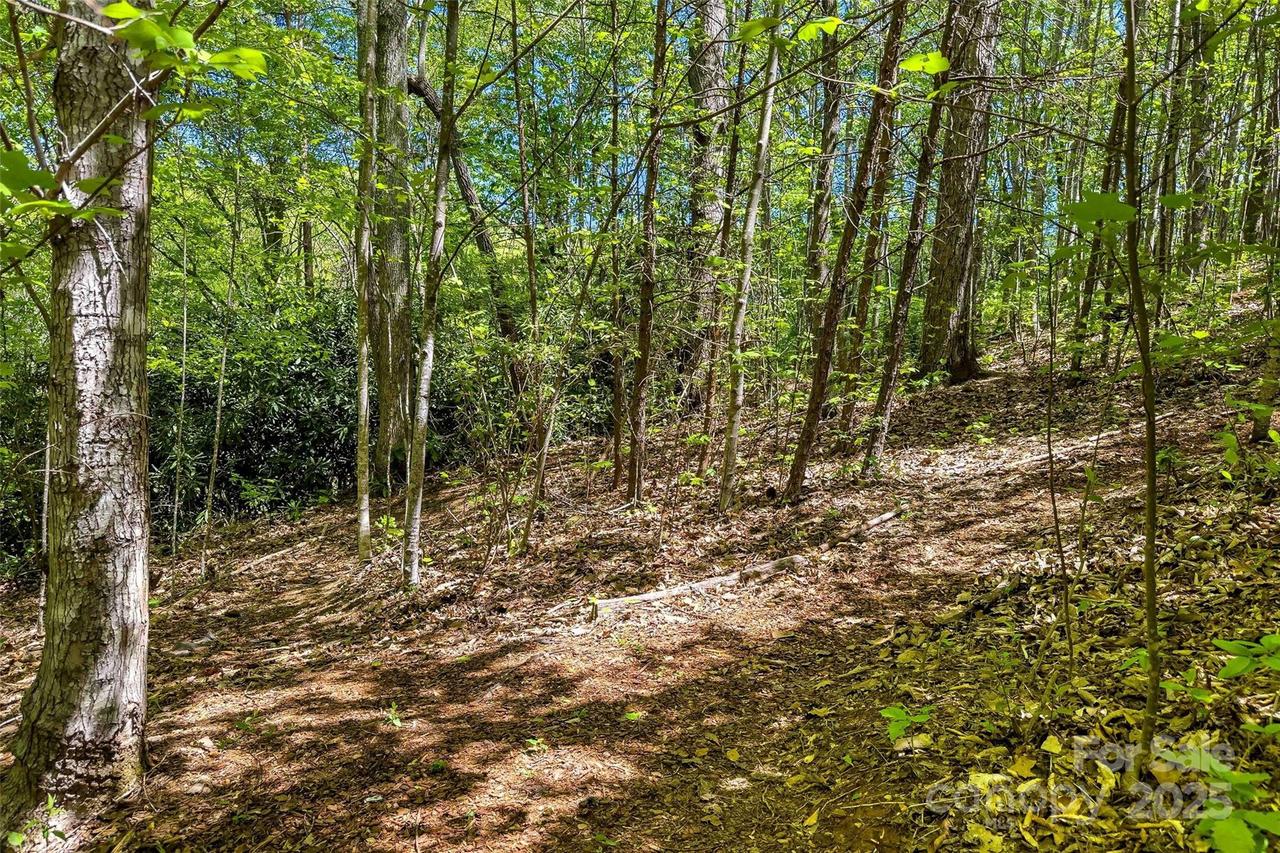 tbd Hunting Lodge Dr. #9, Black Mountain, NC 28711