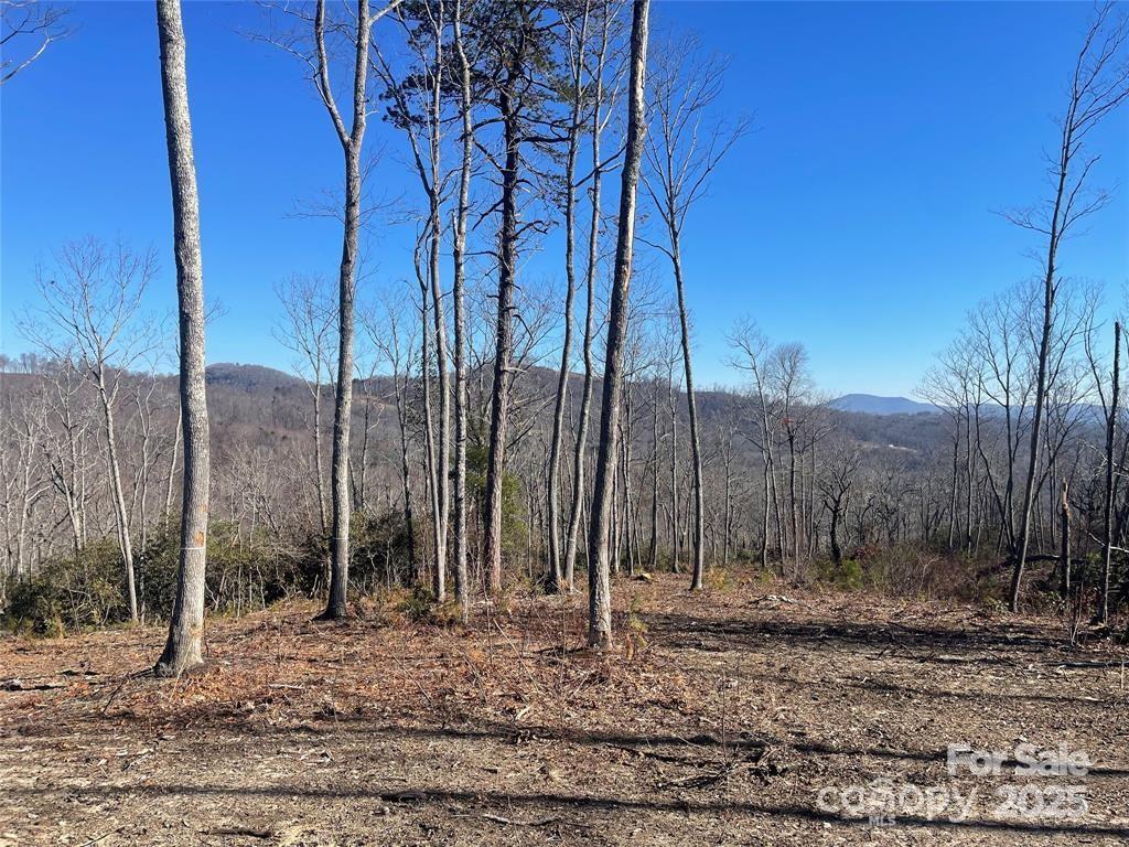 Lot 59 Mountain Grove Ln., Fletcher, NC 28732