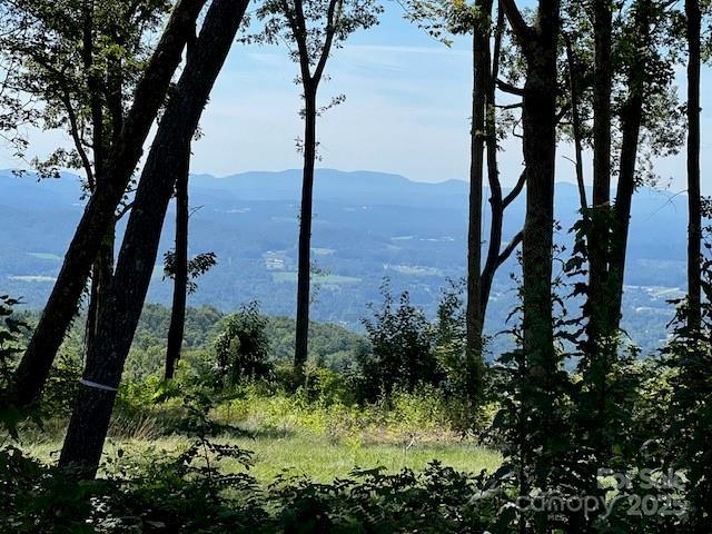 462 E Garden Tr. #37, Hendersonville, NC 28792