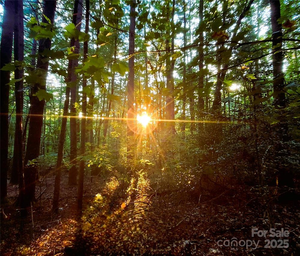 Broyles Rd., Hendersonville, NC 28791