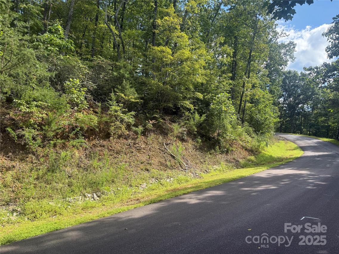 TBD Overland Tr. #168, Marion, NC 28752