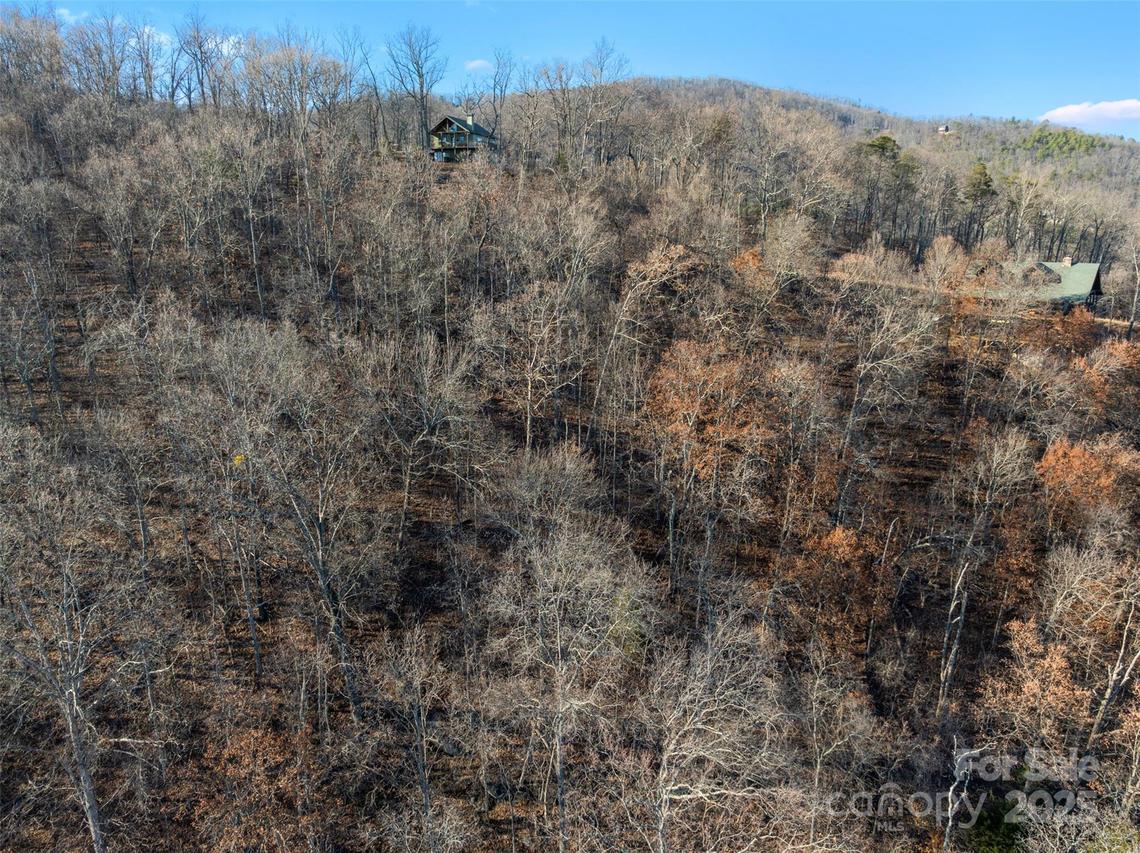 00 Andrew Dr. #521, Lake Lure, NC 28746