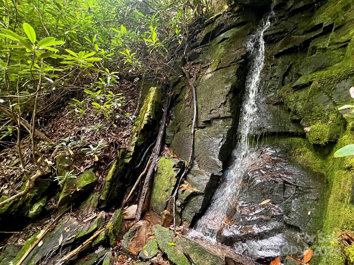 Lot 11 Silver Maple Tr., Brevard, NC 28712