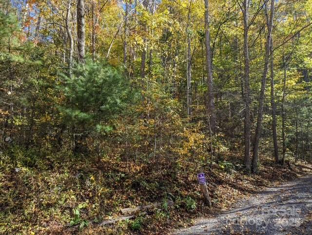00 White Oak Rd., Waynesville, NC 28786