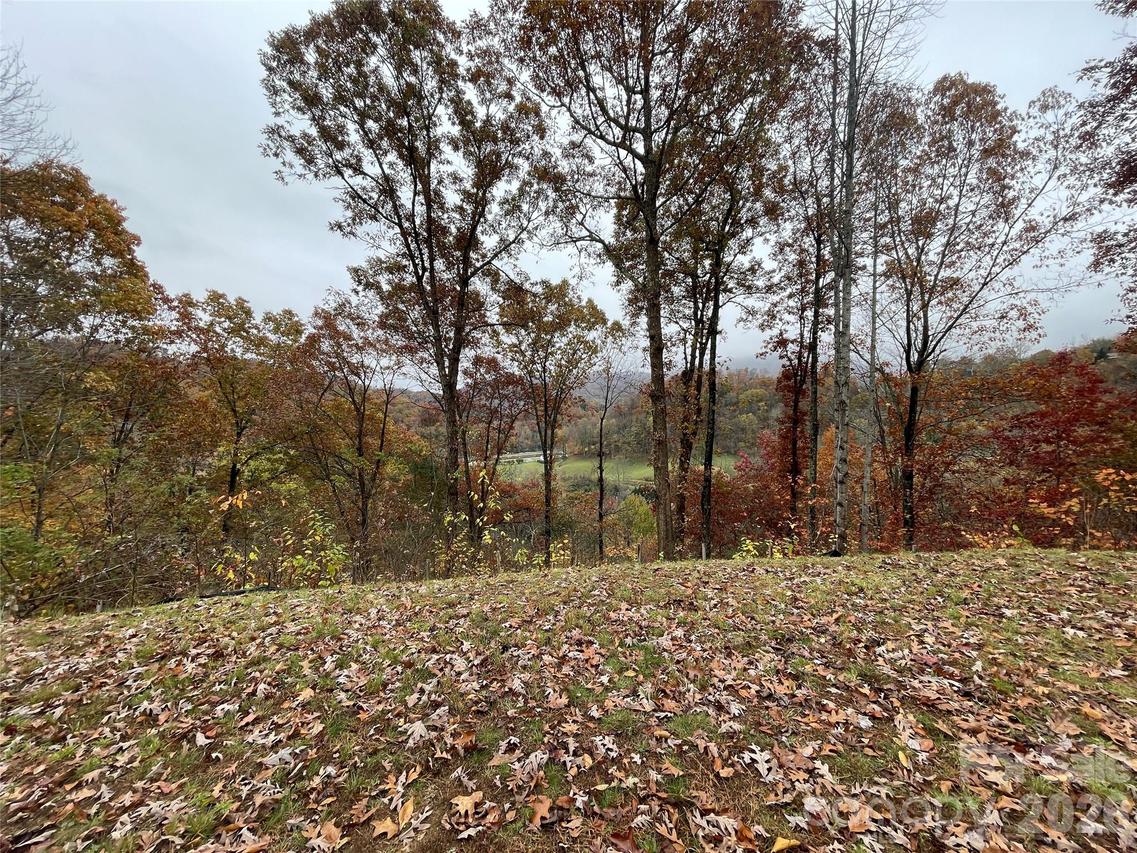 97 Junebug Tr., Waynesville, NC 28785
