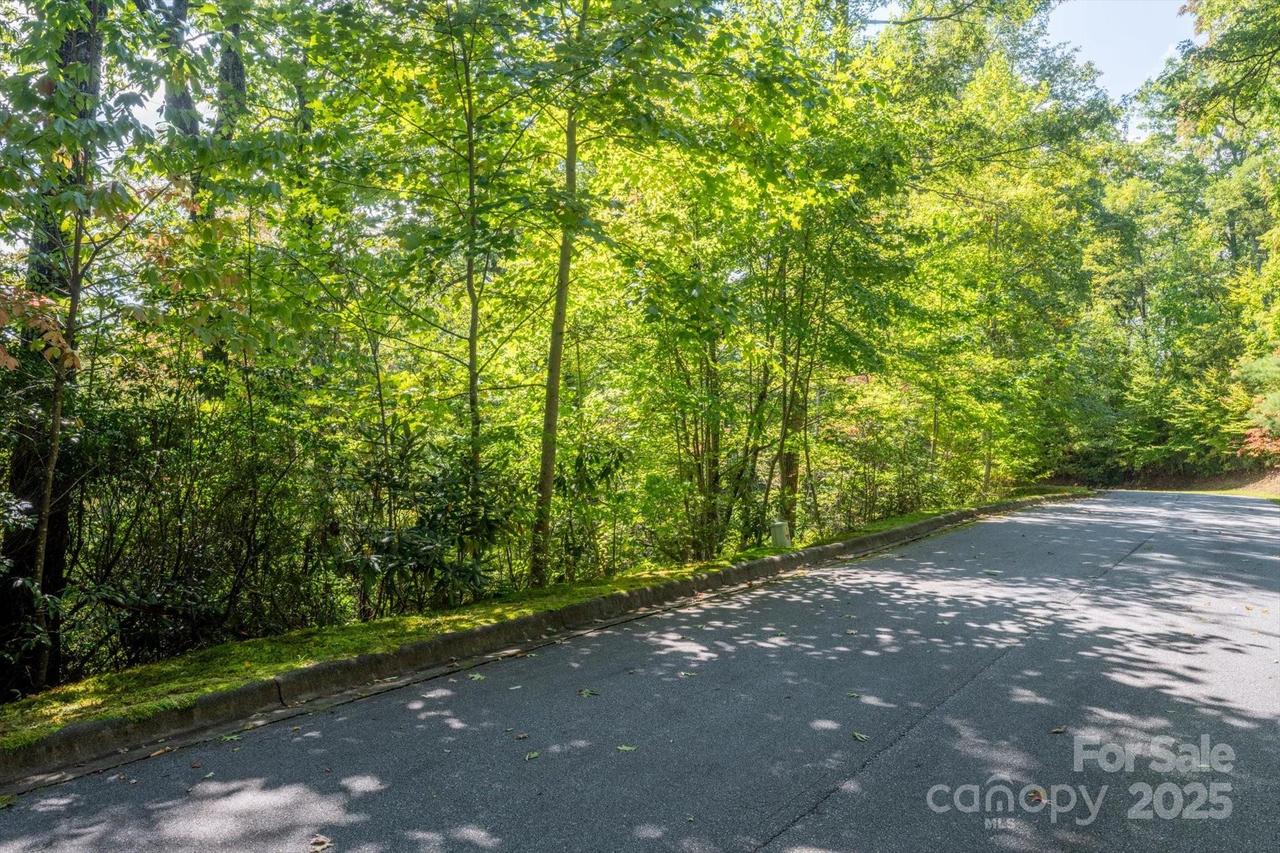 TBD Pine Mountain Tr. #M79, Brevard, NC 28712