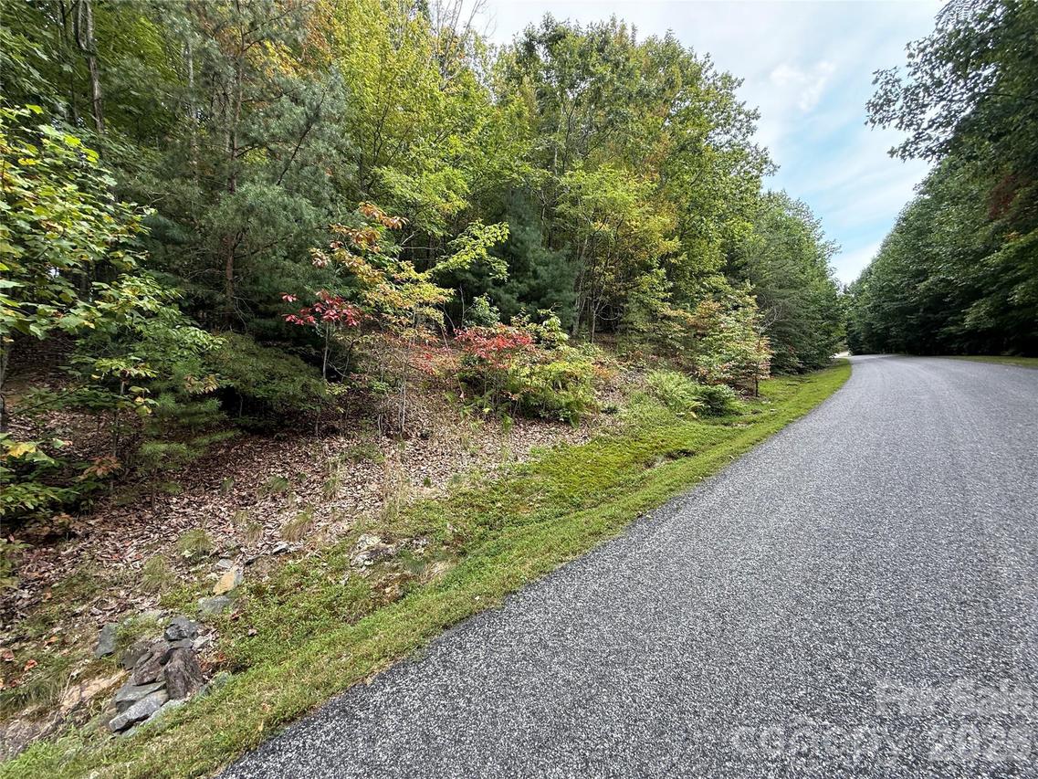 1029 Chippawa Dr. #67, Arden, NC 28704