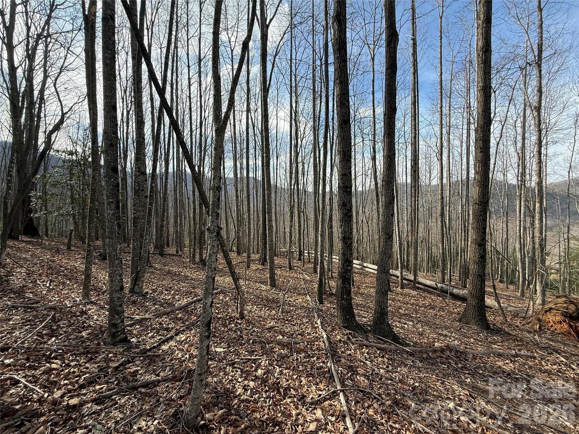 1029 Chippawa Dr. #67, Arden, NC 28704