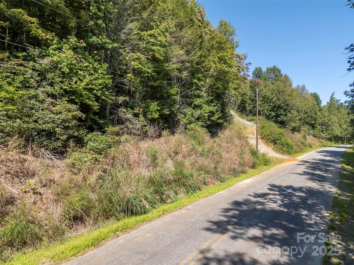 00 Camp Creek Rd., Saluda, NC 28773