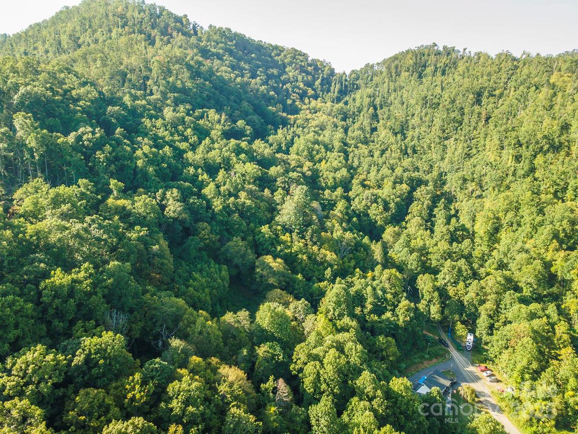 99999 Roberts Cove Rd., Weaverville, NC 28787