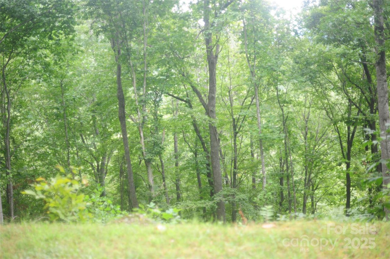 9 Wood Haven Ln. #108, Black Mountain, NC 28711
