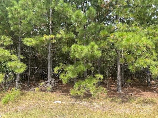 [Address Hidden by Seller], Jackson Springs, NC 27281