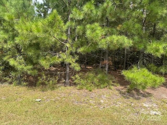 [Address Hidden by Seller], Jackson Springs, NC 27281