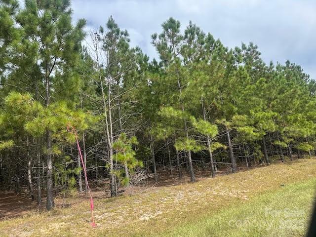 [Address Hidden by Seller], Jackson Springs, NC 27281