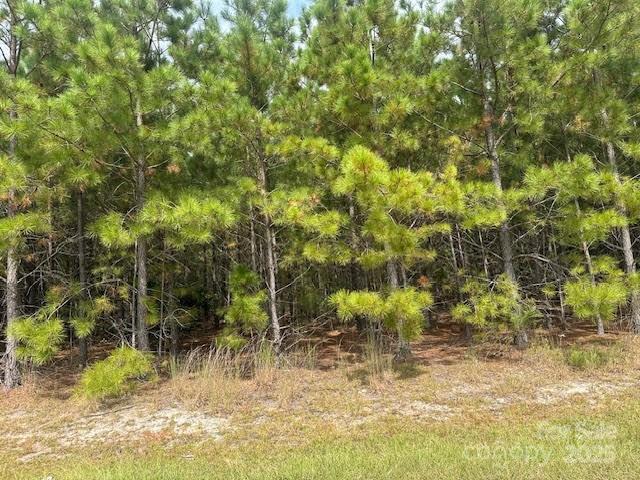 [Address Hidden by Seller], Jackson Springs, NC 27281