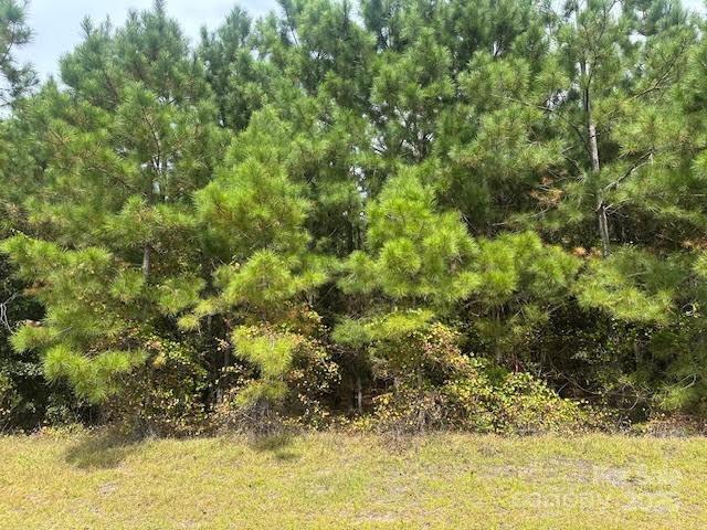 [Address Hidden by Seller], Jackson Springs, NC 27281