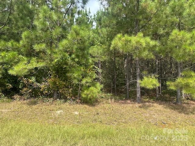 [Address Hidden by Seller], Jackson Springs, NC 27281