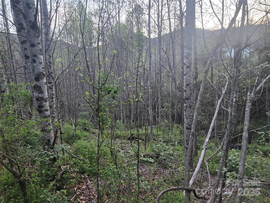 Lt 1 Running Water Cir. #1, Sylva, NC 28779