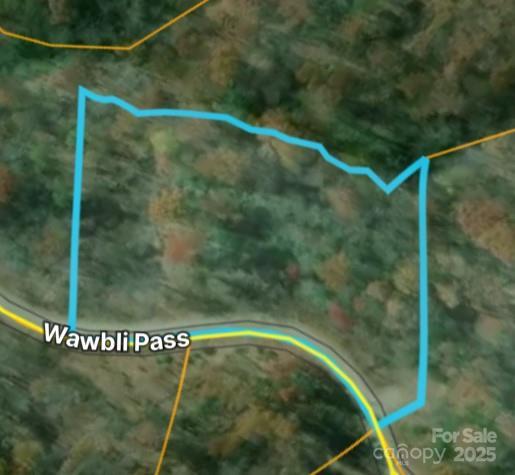 00 Wambli Pass, Lake Lure, NC 28746