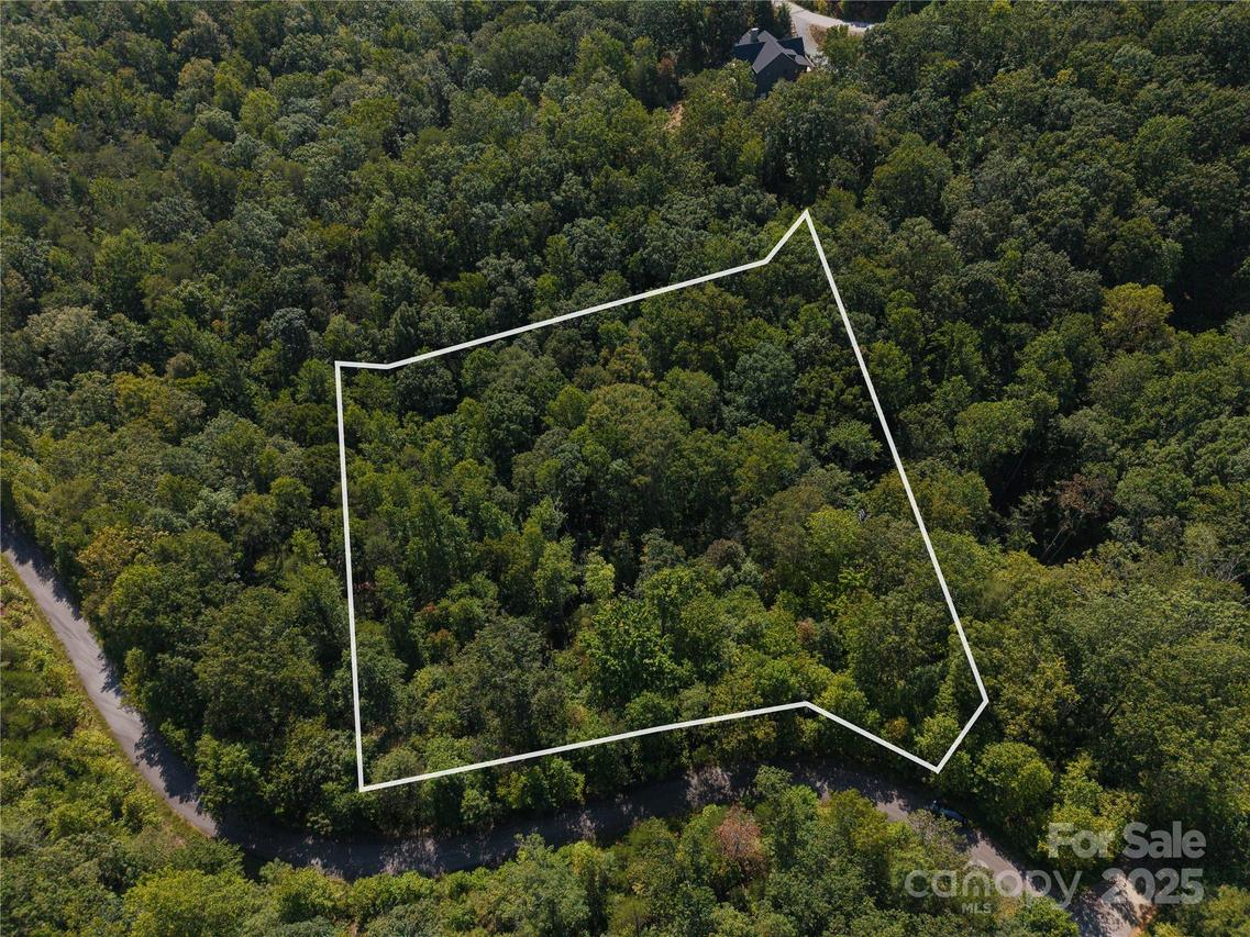 00 Wambli Pass, Lake Lure, NC 28746