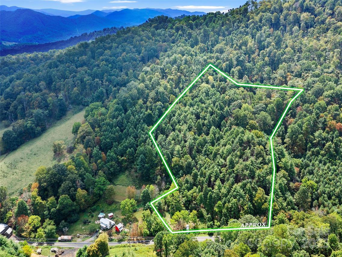 1595 Coxes Creek Rd., Burnsville, NC 28714