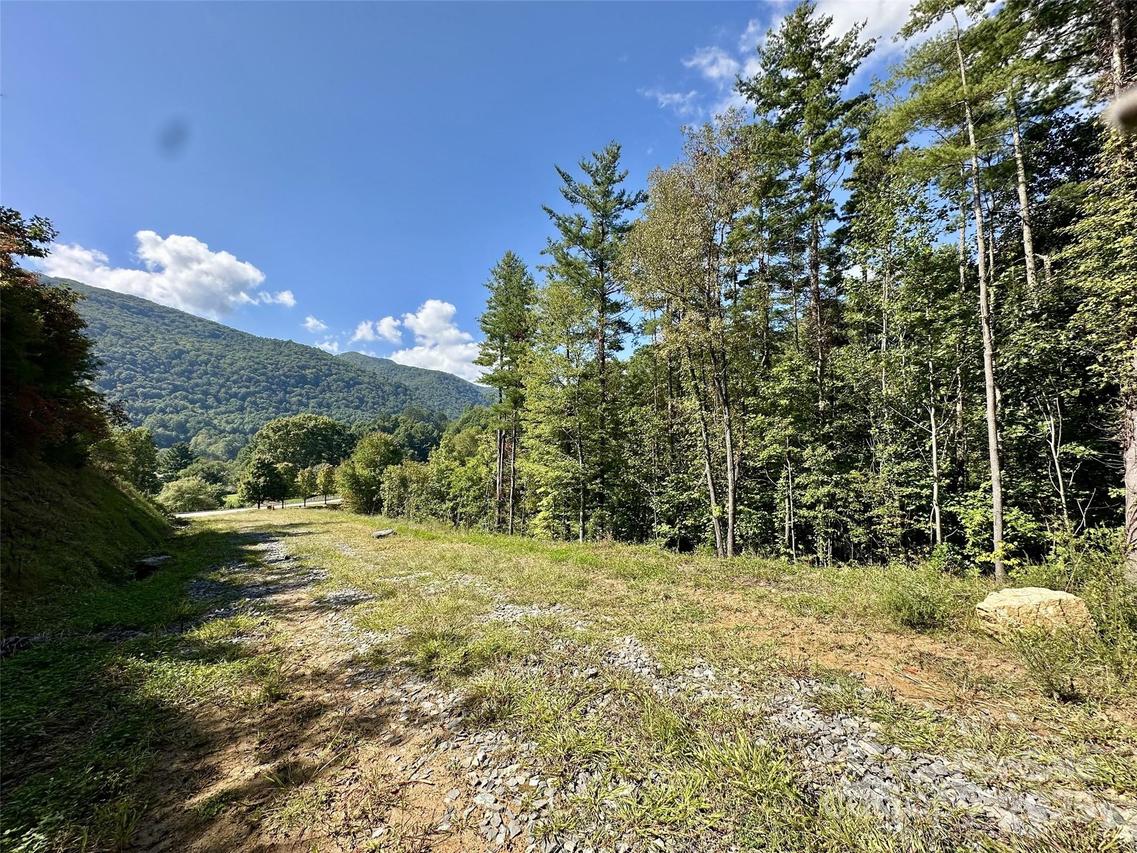10 Freshwater Cove, Maggie Valley, NC 28751