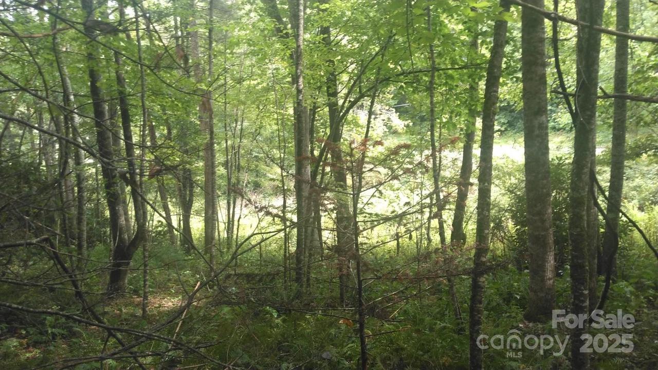 7360 Nc 183 Hwy., Newland, NC 28657
