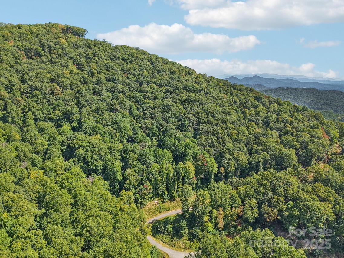 000 Biltmore View Dr. #10, Candler, NC 28715