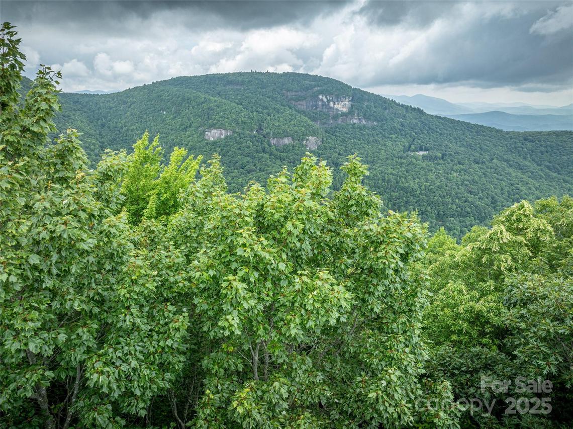 000 Meadow Ridge Dr. #L9, Lake Toxaway, NC 28747