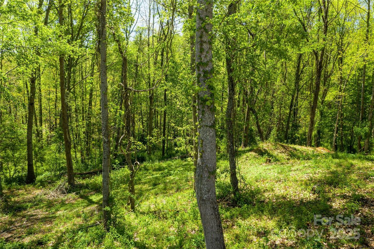 9999 Bee Balm Way #55, Asheville, NC 28804