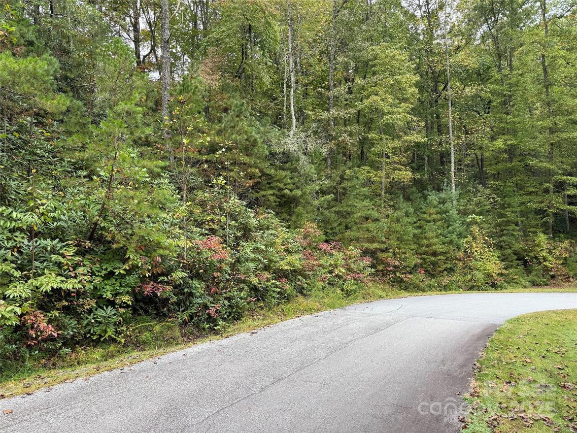 TDB Fern Cove Ln. #44, Pisgah Forest, NC 28768