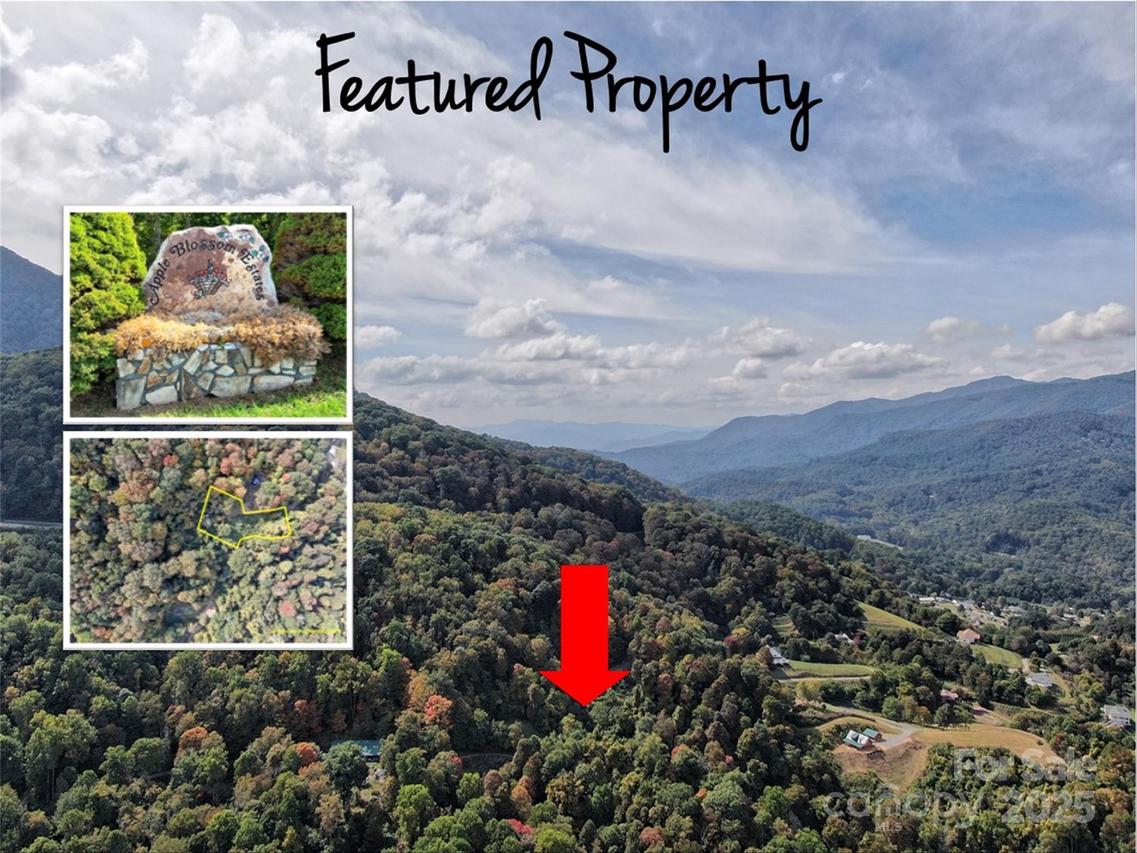 00 Ellenberger Dr. #401, Waynesville, NC 28786