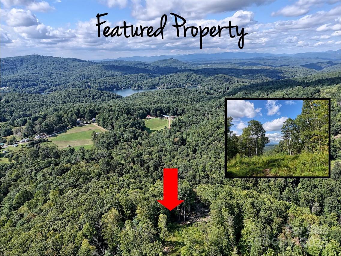 00 Bell Mountain Rd., Zirconia, NC 28790