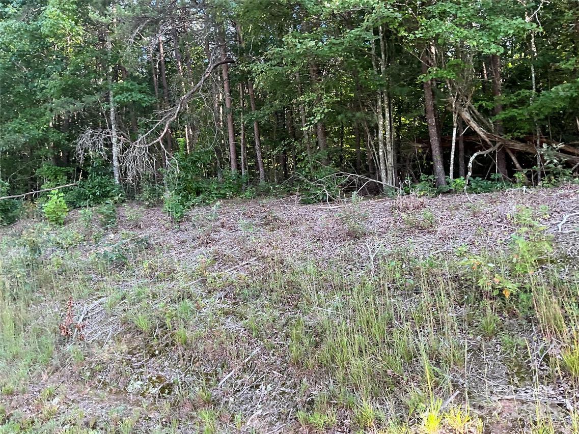 TBD D G Echerd Rd. #2, Taylorsville, NC 28681