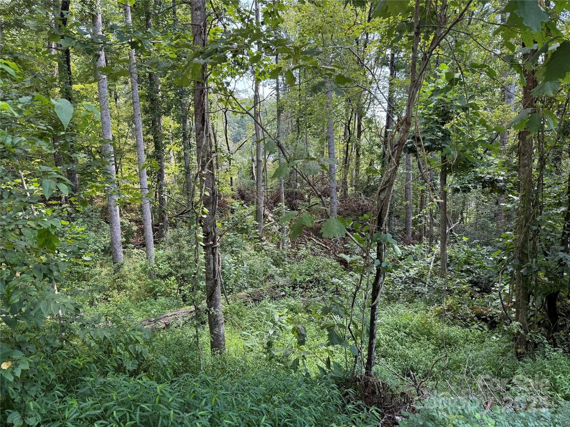 256 Burge Mountain Rd., Hendersonville, NC 28792