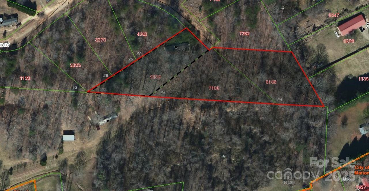 V/L Bambi Dr., Marion, NC 28752