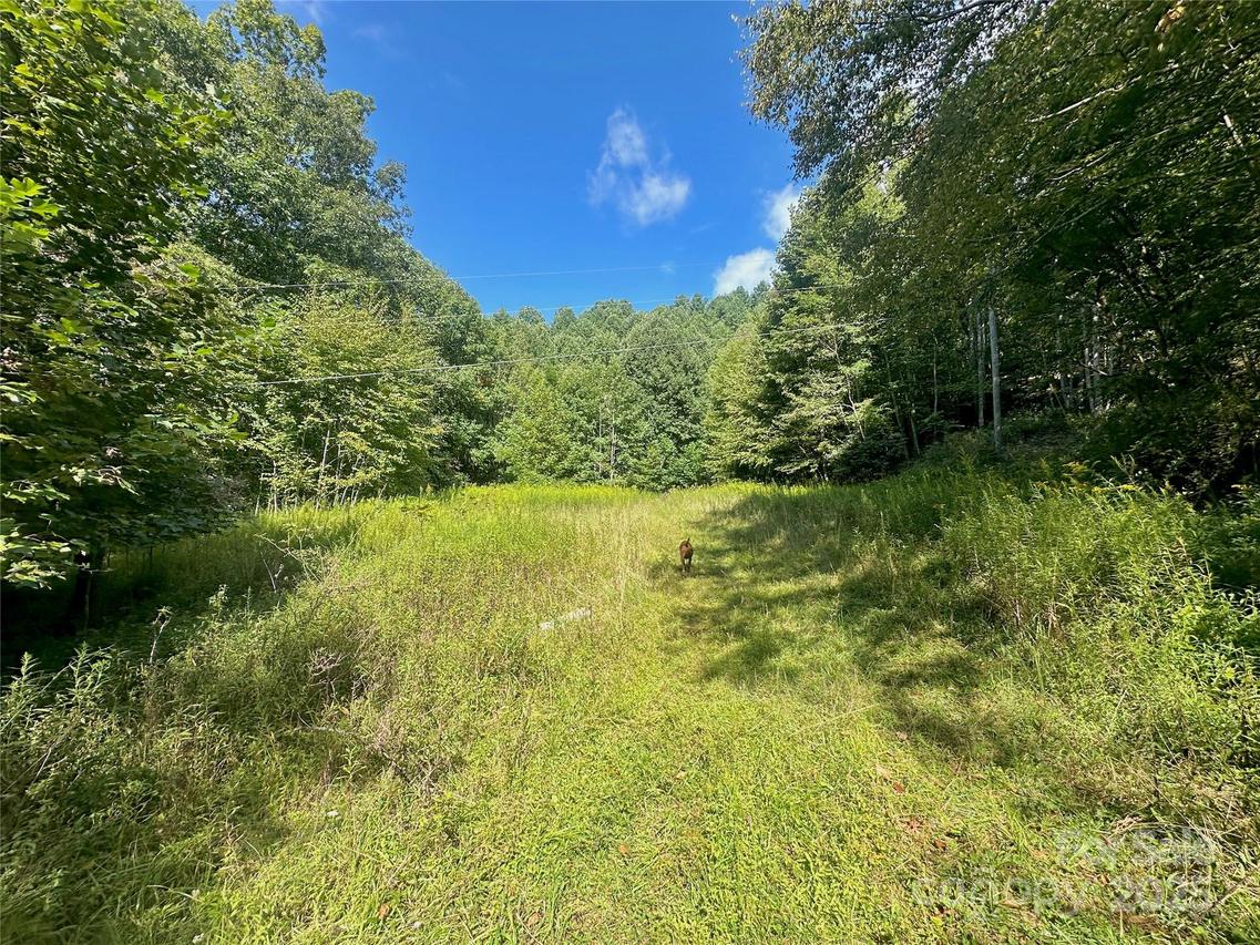 TBD Old Anderson Quarry Rd., Vilas, NC 28692