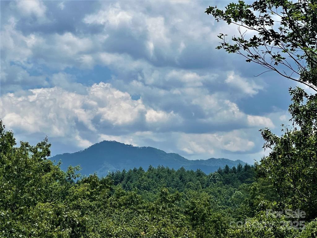 59 Musket Rd., Almond, NC 28702