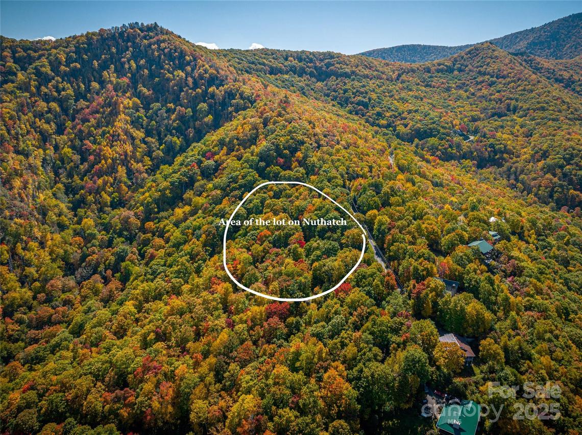 Chickadee Ln., Maggie Valley, NC 28751