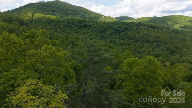 00 Cove Gap Rd. #Offering #2, Moravian Falls, NC 28654