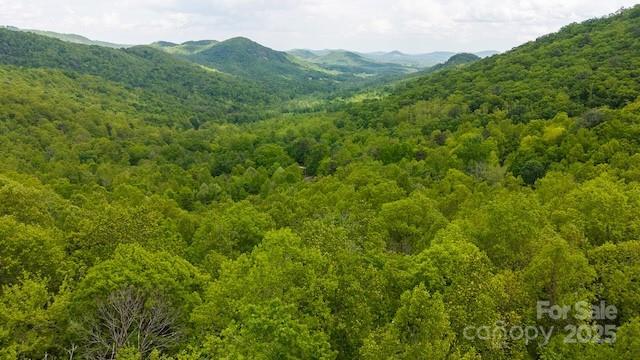 Cove Gap Rd. #Offering #1, Moravian Falls, NC 28654
