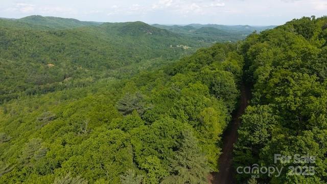 000 Cove Gap Rd. #Offering #3, Moravian Falls, NC 28654