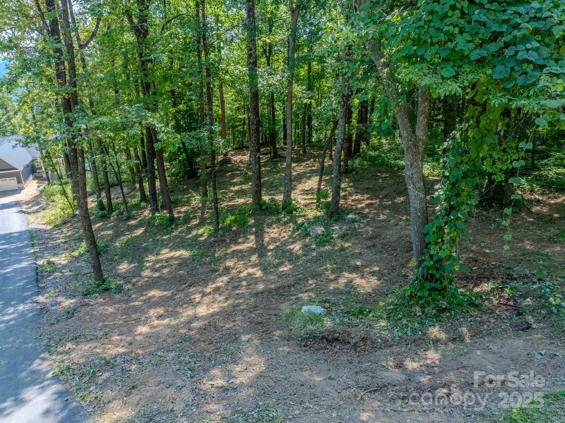 0000 Pinnacle Mountain Rd. #1, Zirconia, NC 28731