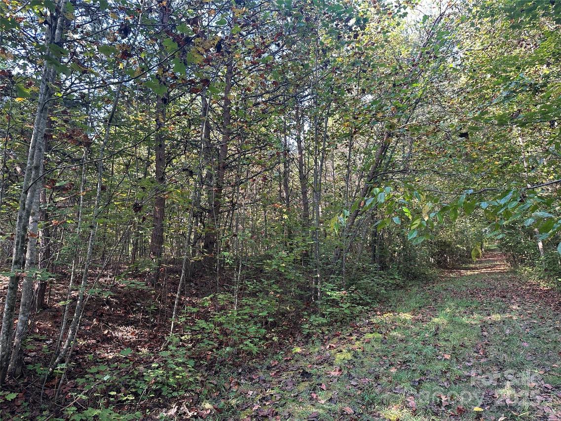 Tract 1 Off Timber Rd., Marion, NC 28752