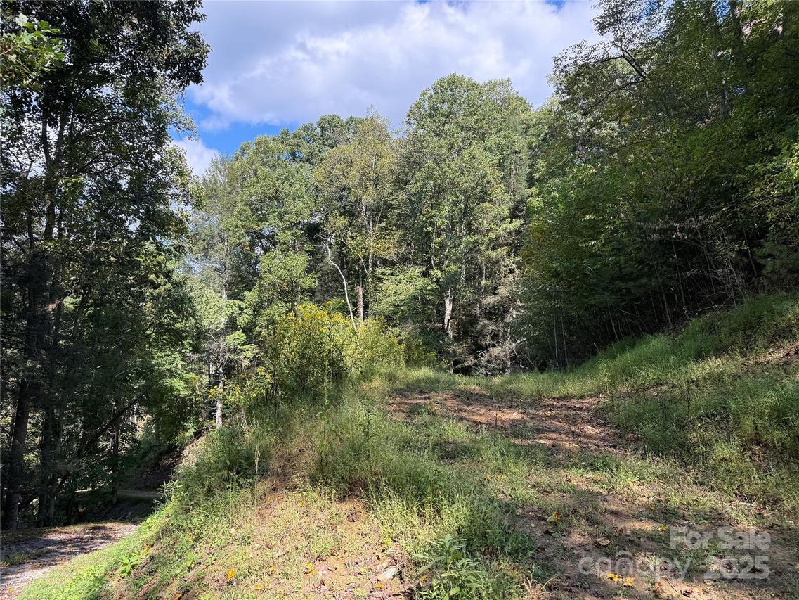 TBD Guntertown Rd., Marshall, NC 28753
