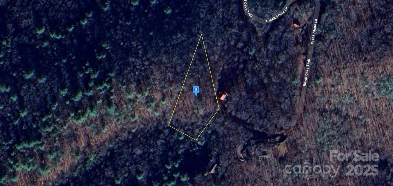 890 Royal Oaks Tr., Brasstown, NC 28902