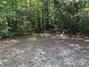 Homes Just Sold in Purlear: September 16th to September 22nd