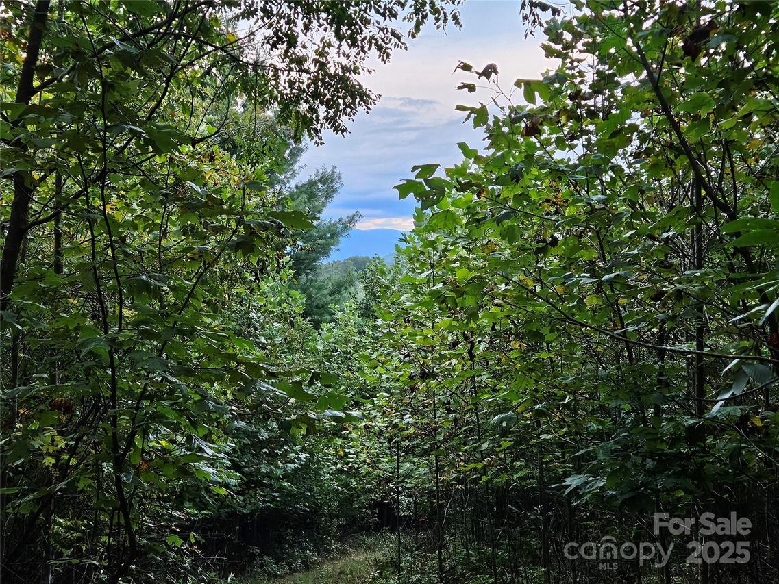 000 Double Island Rd., Green Mountain, NC 28740