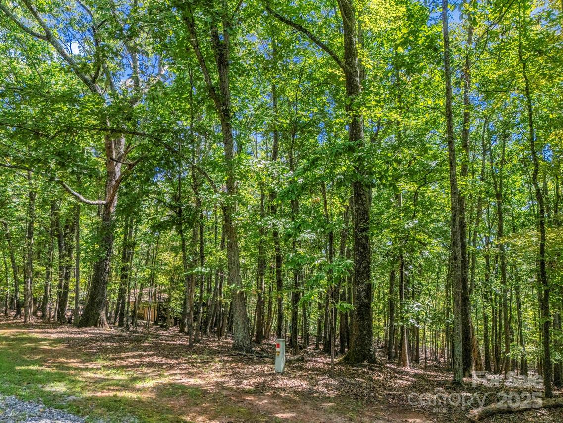 Lot 171 Mountain Laurel Dr. #171, Columbus, NC 28722